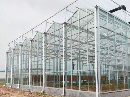 玻璃智能溫室