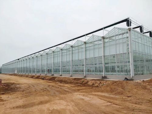 玻璃智能溫室