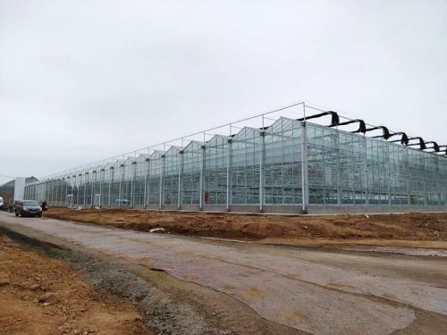 玻璃智能溫室