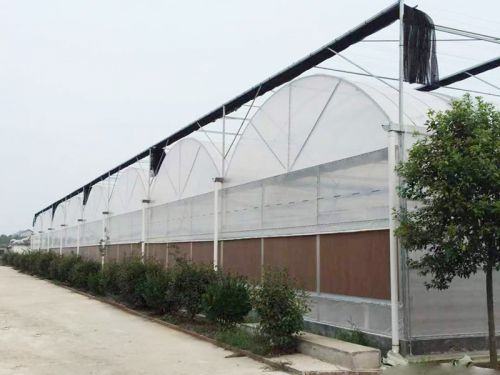 溫室工程案例