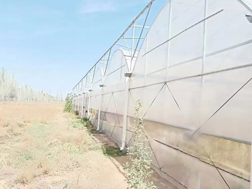 溫室工程案例