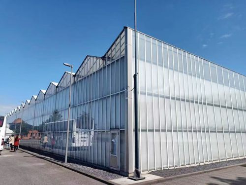 溫室大棚內(nèi)可做無(wú)土栽培，有什么要求？