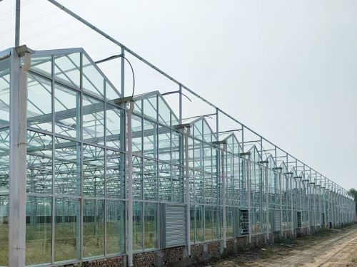 建造溫室大棚選址的標(biāo)準(zhǔn)和要求，快來(lái)看一下