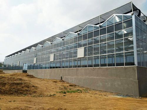 智能溫室工程案例