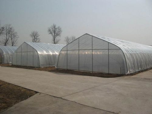 單棟薄膜溫室