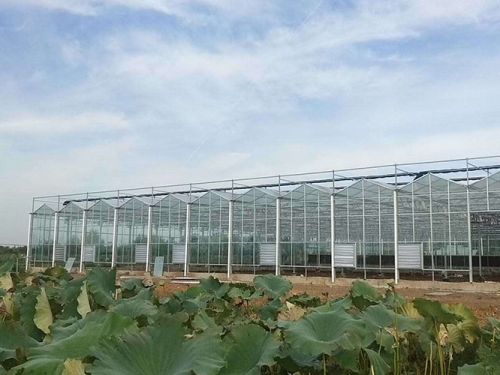 溫室大棚案例
