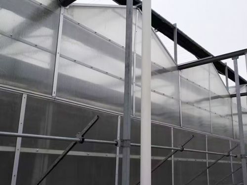 陽(yáng)光板溫室