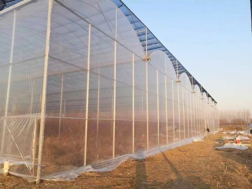 薄膜連棟溫室
